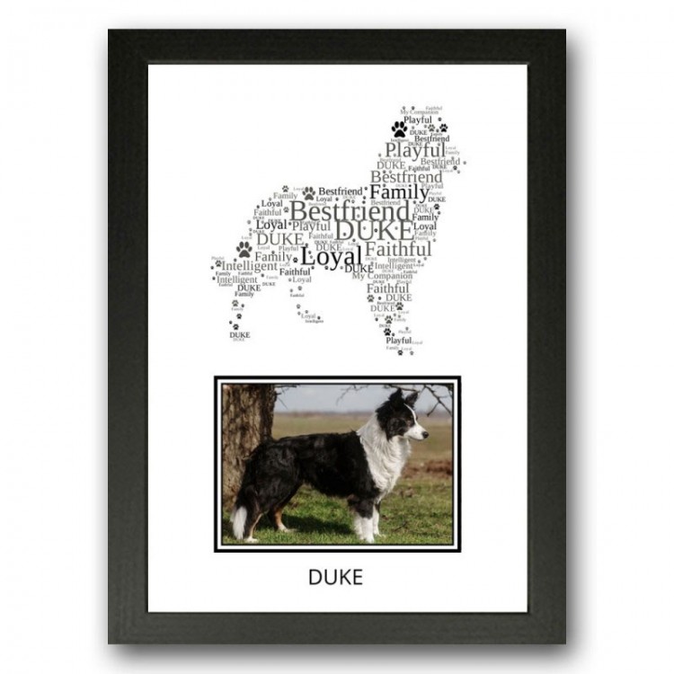 Border Collie Photo Print Gifts